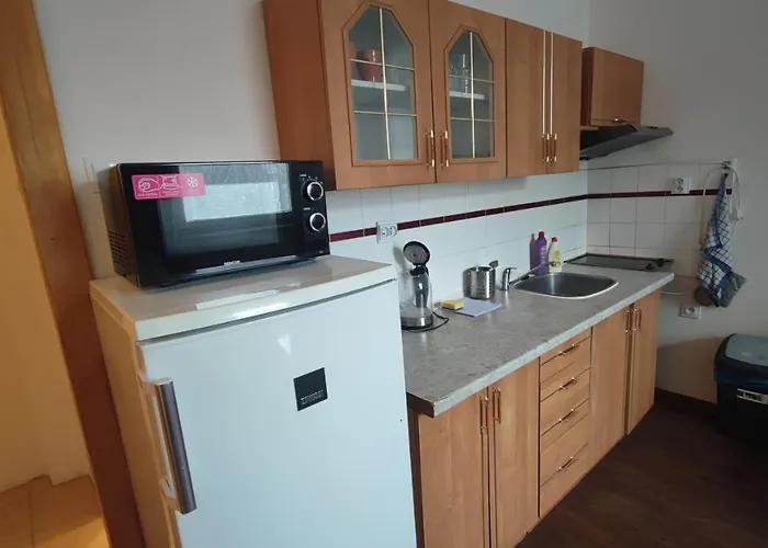 Apartament Slavie *